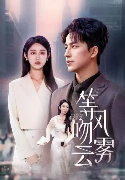 半糖关系 都市情感剧在线观看